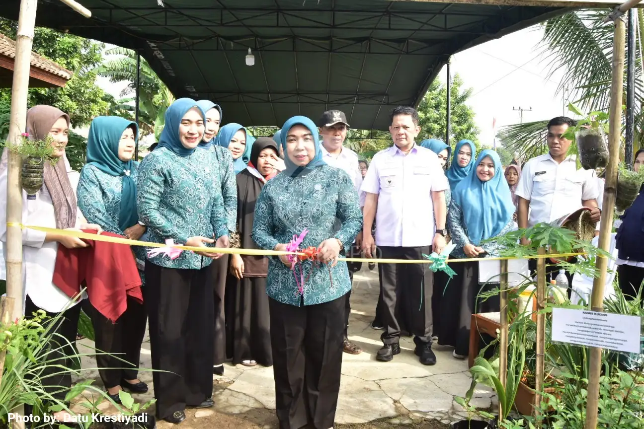 Jadi Obyek Penilaian Lomba Administrasi PKK, Posyandu dan K3W, TP PKK Kecamatan Tumijajar Luncurkan Website PKK