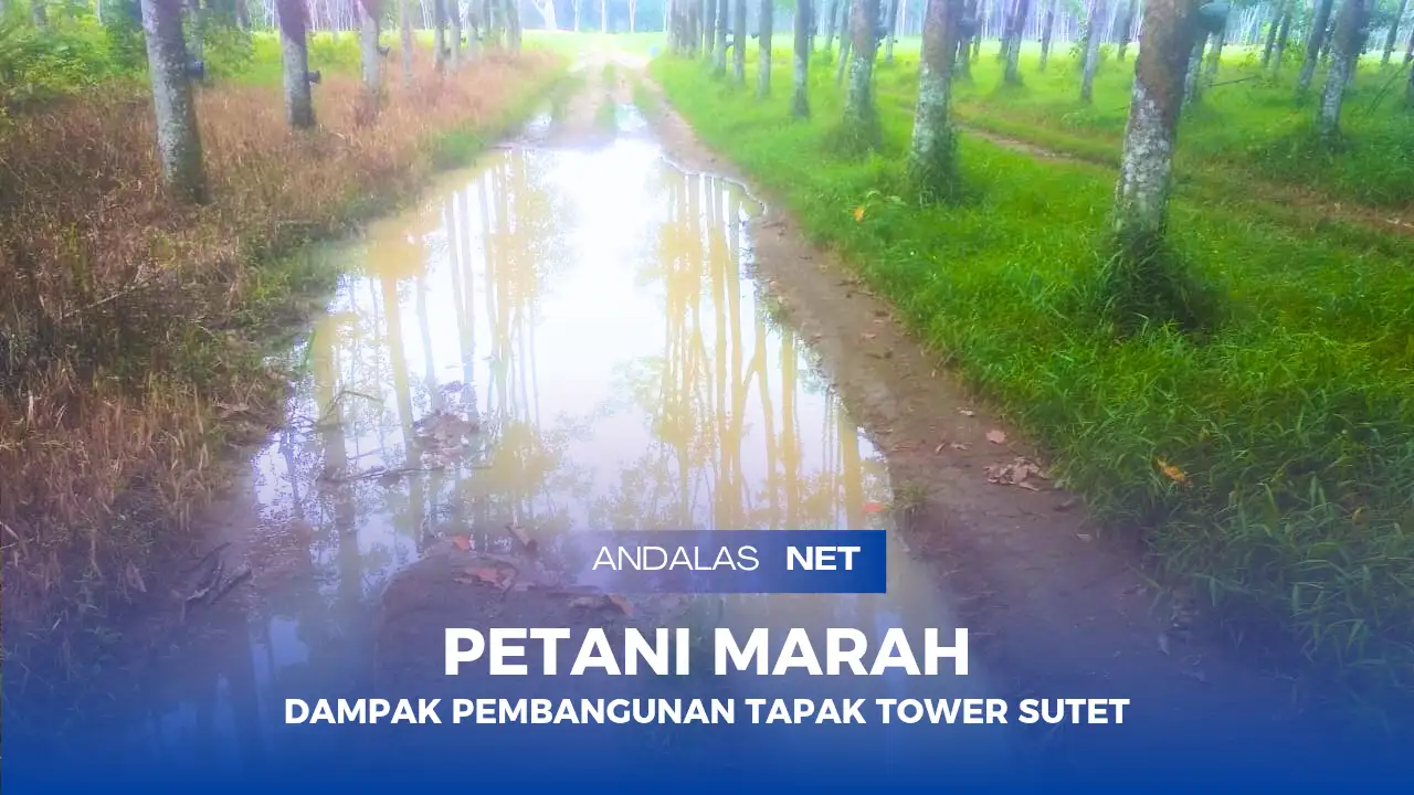 Rusaknya Jalan Usaha Tani Membuat Para Petani Mengeluh, Rusaknya Jalan Diduga Dampak dari Pembuatan Tapak Tower SUTET