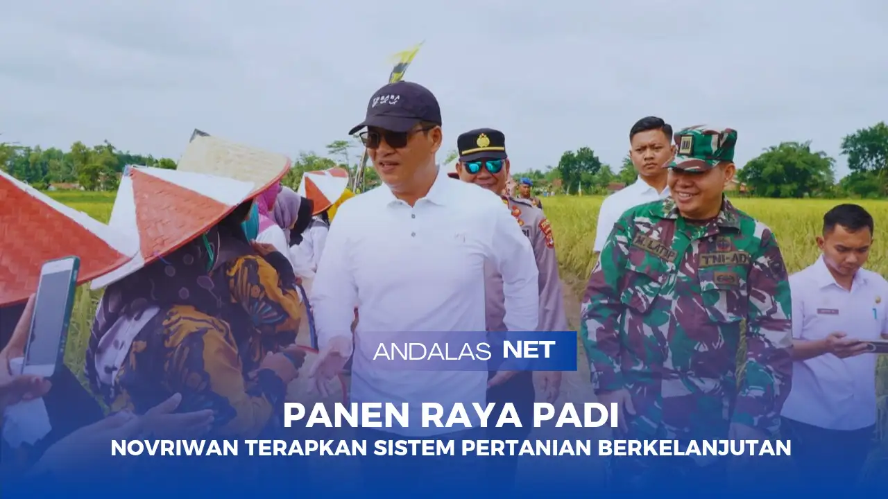 Panen Raya Padi Di Tiyuh Gading Kencana, Bupati Novriwan Terapkan Sistem Pertanian Berkelanjutan