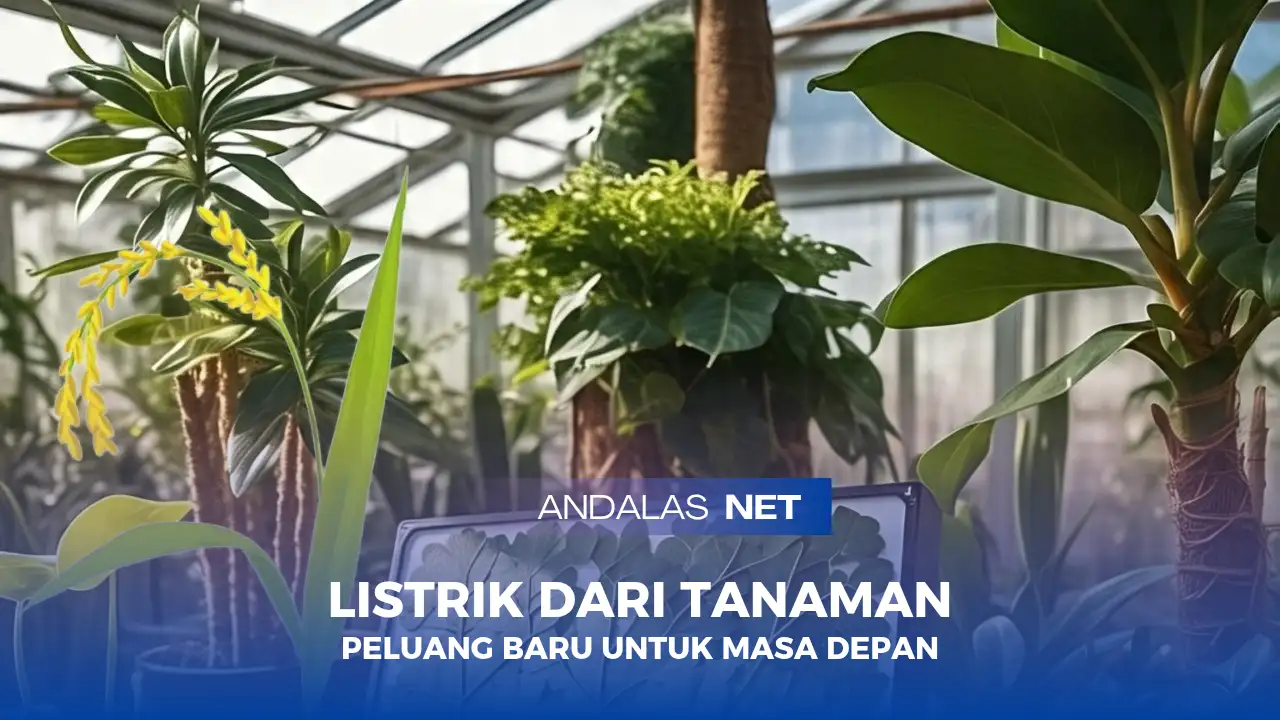 Tanaman Penghasil Energi Listrik