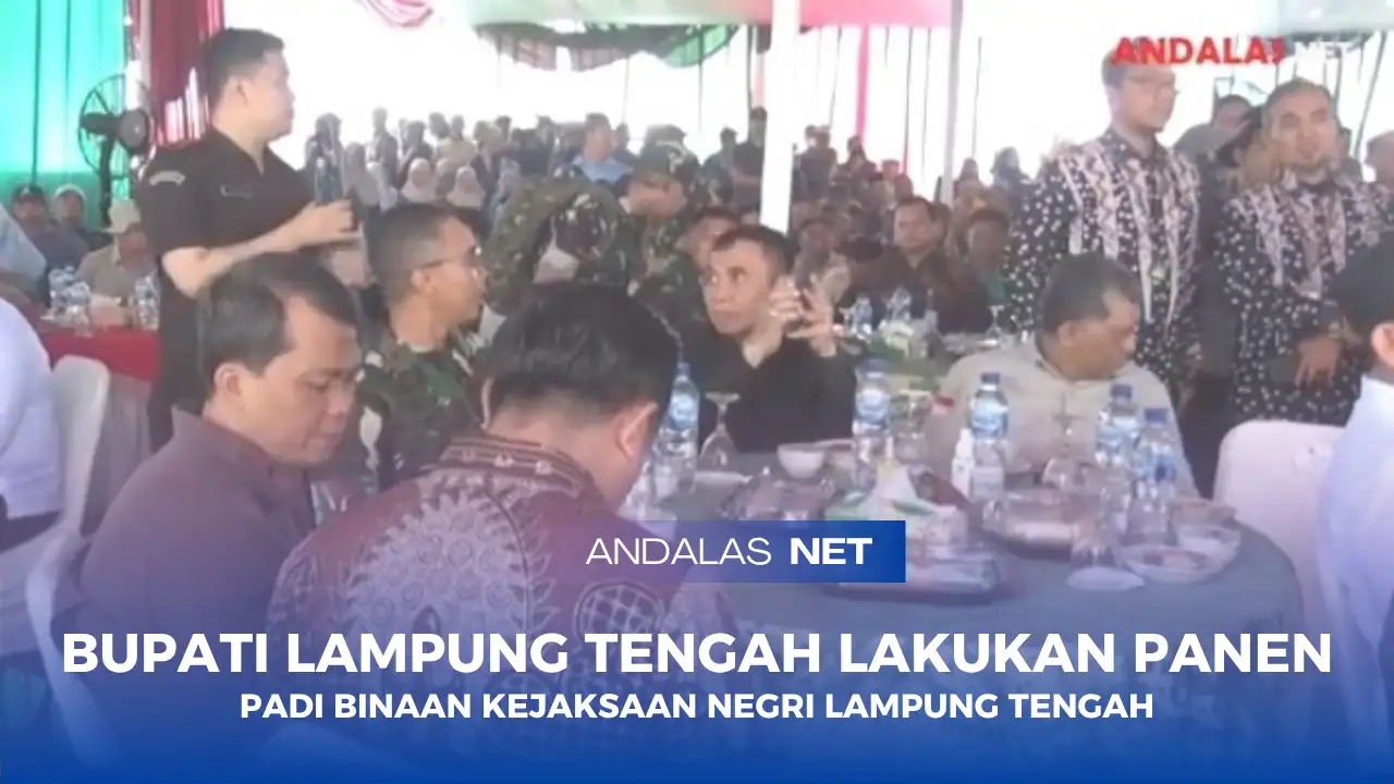 Bupati Lampung Tengah Lakukan Panen Raya Padi Binaan Kejaksaan Negri Lampung Tengah