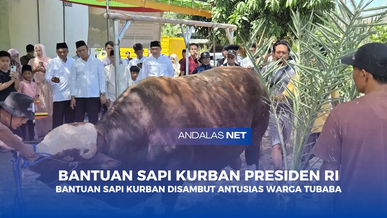 Idul Adha 2026, Presiden RI Berikan Bantuan Sapi Kurban untuk Warga Tubaba